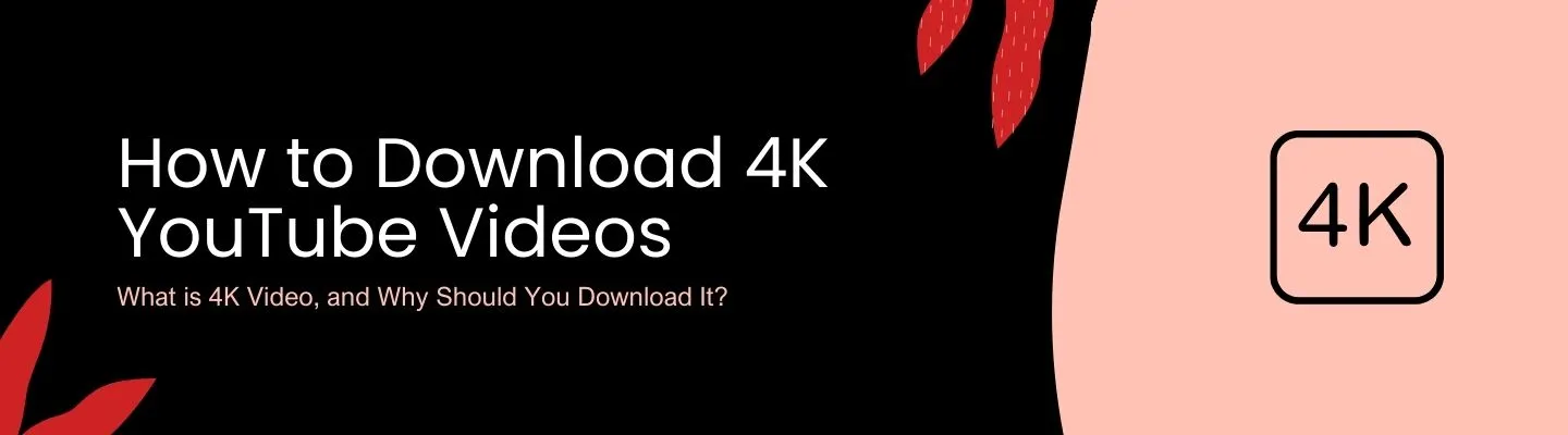 How to Download 4K Youtbe Videos